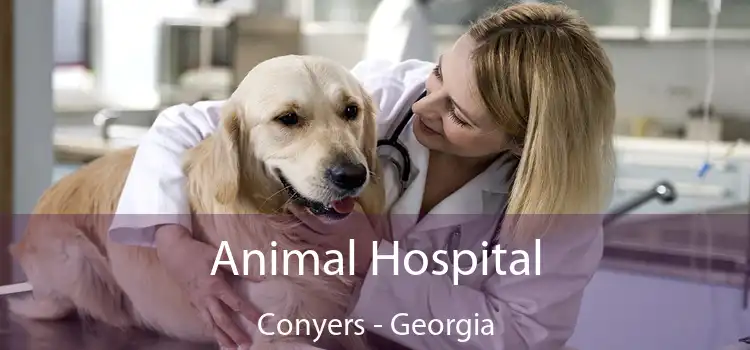 Animal Hospital Conyers - Georgia