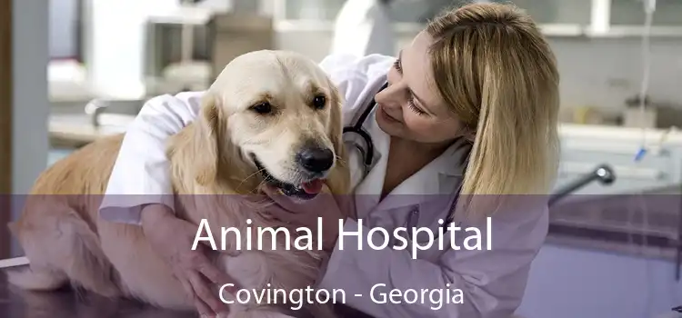 Animal Hospital Covington - Georgia