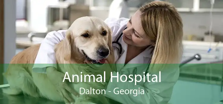 Animal Hospital Dalton - Georgia