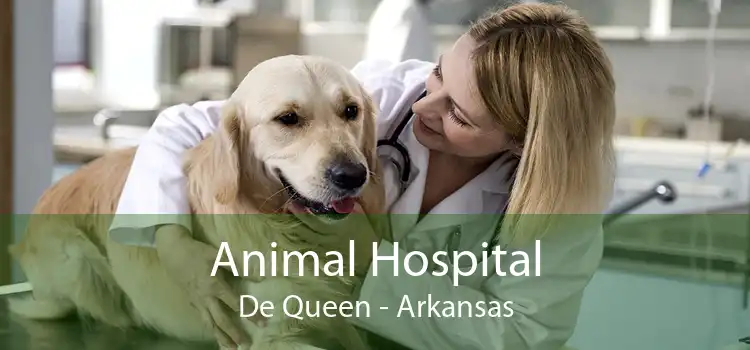 Animal Hospital De Queen - Arkansas