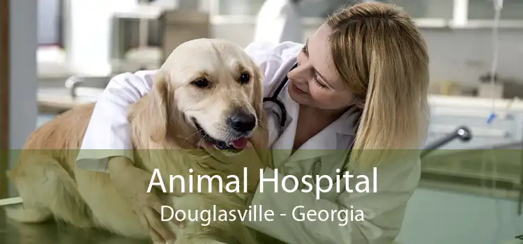Animal Hospital Douglasville - Georgia