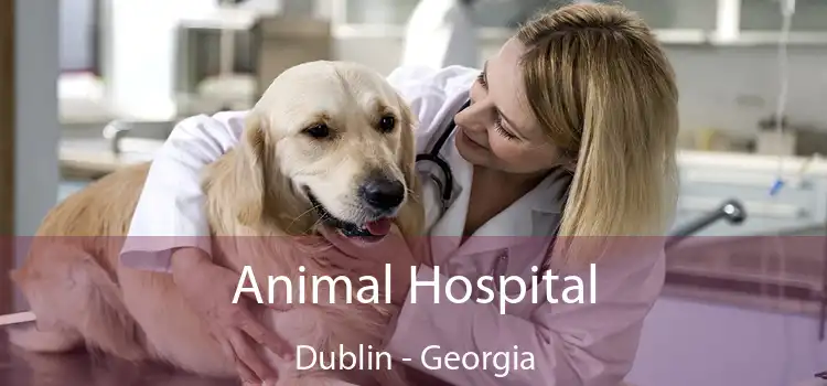 Animal Hospital Dublin - Georgia