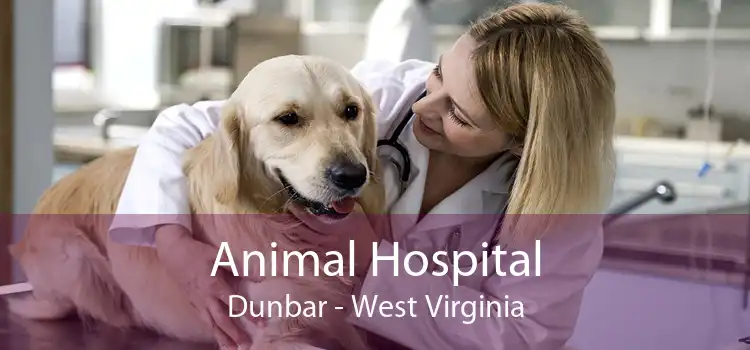 Animal Hospital Dunbar - West Virginia