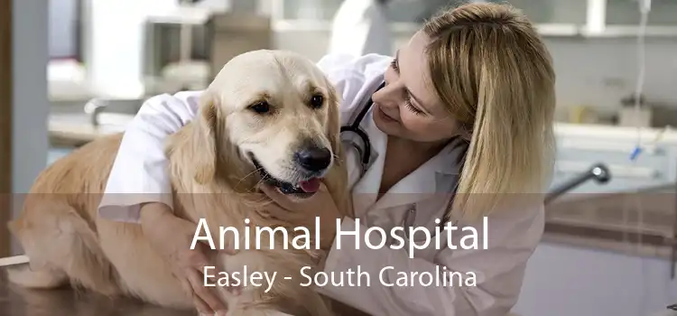 Animal Hospital Easley - South Carolina