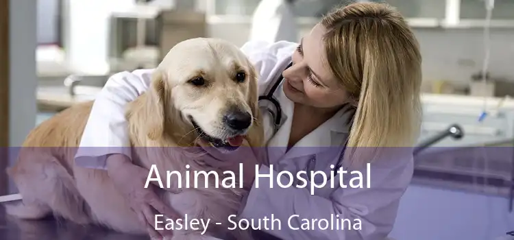 Animal Hospital Easley - South Carolina