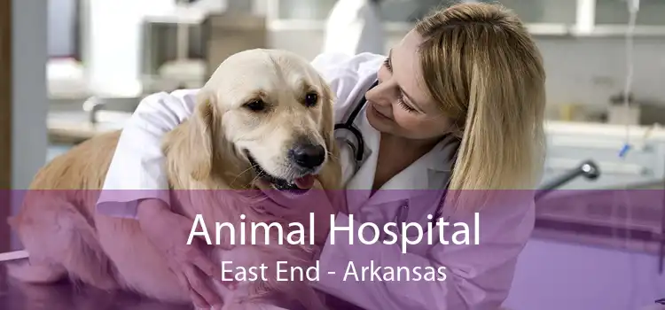 Animal Hospital East End - Arkansas