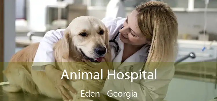 Animal Hospital Eden - Georgia