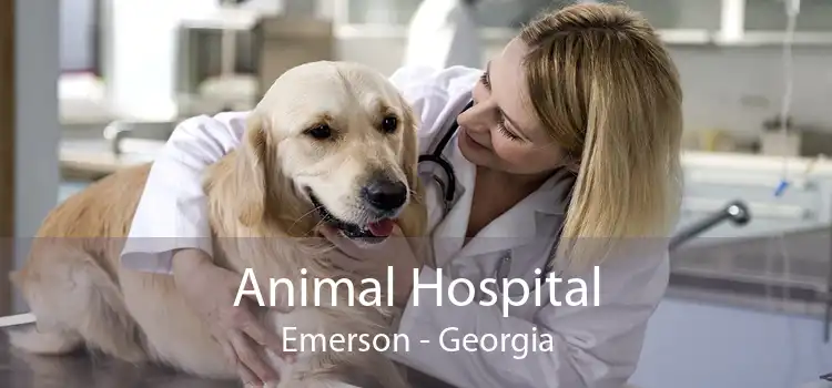 Animal Hospital Emerson - Georgia