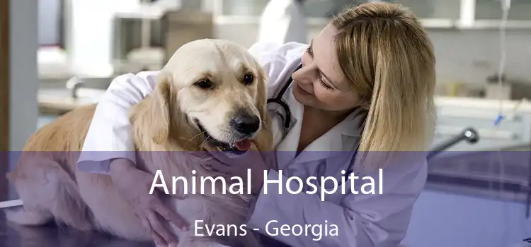 Animal Hospital Evans - Georgia