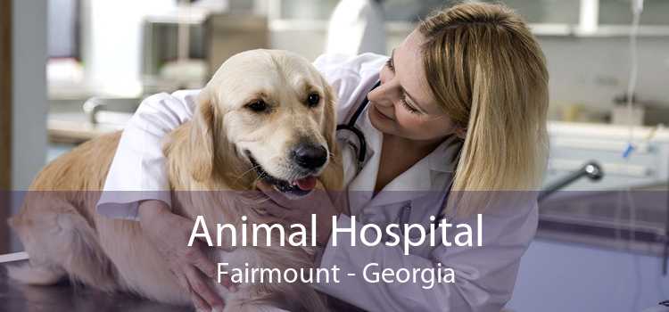 Animal Hospital Fairmount - Georgia