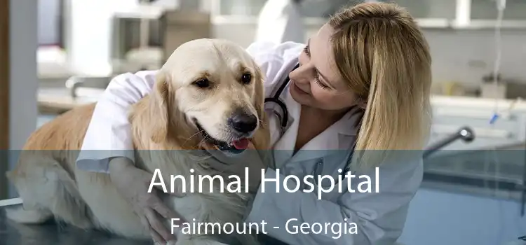 Animal Hospital Fairmount - Georgia