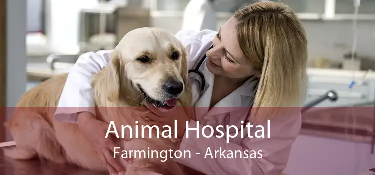 Animal Hospital Farmington - Arkansas