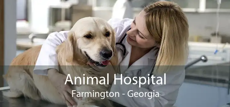 Animal Hospital Farmington - Georgia