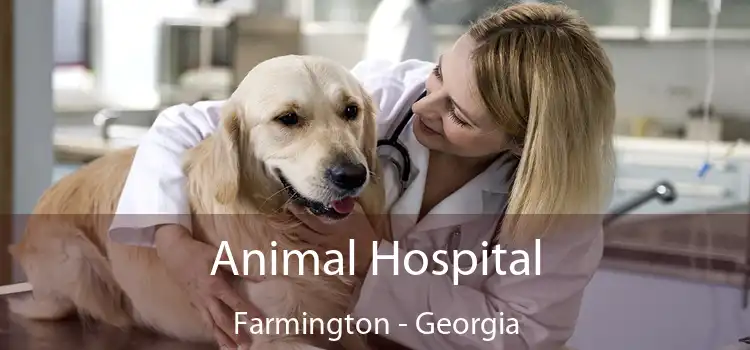 Animal Hospital Farmington - Georgia