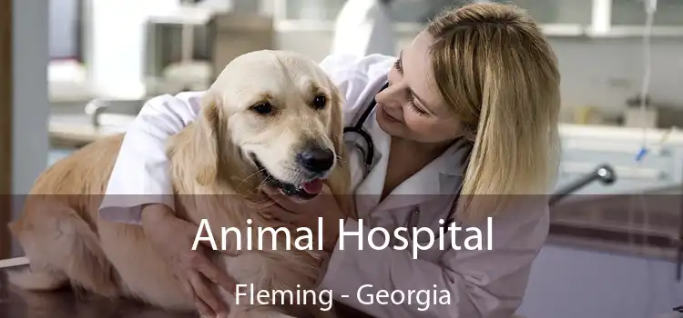 Animal Hospital Fleming - Georgia