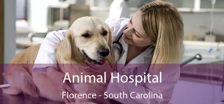 Animal Hospital Florence - South Carolina