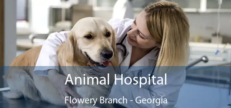 Animal Hospital Flowery Branch - Georgia