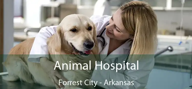 Animal Hospital Forrest City - Arkansas