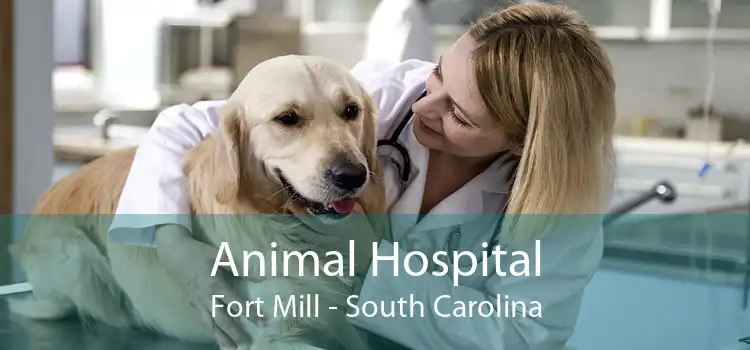 Animal Hospital Fort Mill - South Carolina