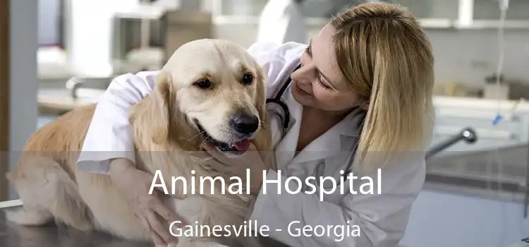 Animal Hospital Gainesville - Georgia