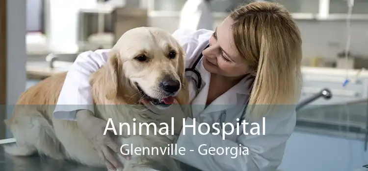 Animal Hospital Glennville - Georgia