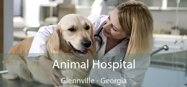 Animal Hospital Glennville - Georgia