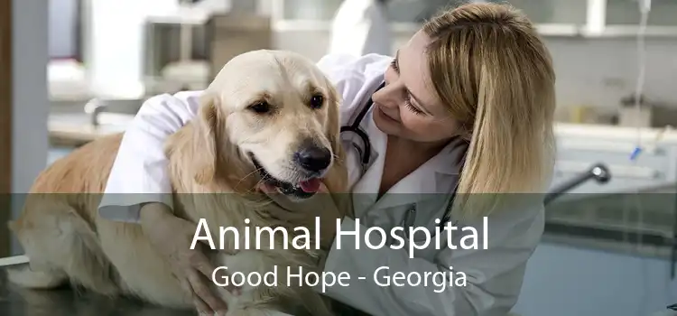 Animal Hospital Good Hope - Georgia