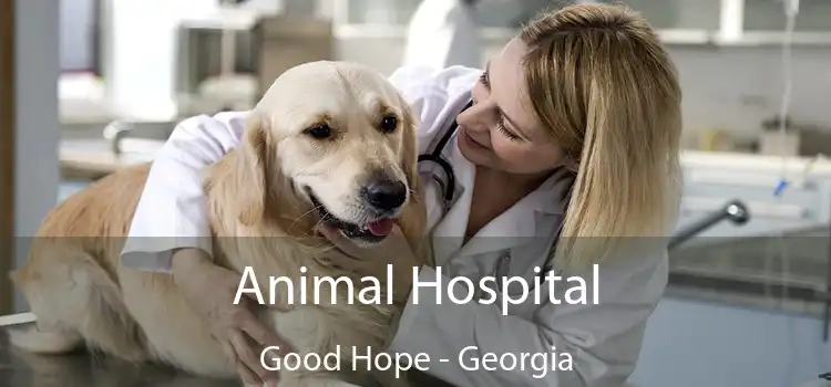 Animal Hospital Good Hope - Georgia