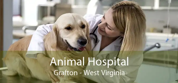 Animal Hospital Grafton - West Virginia