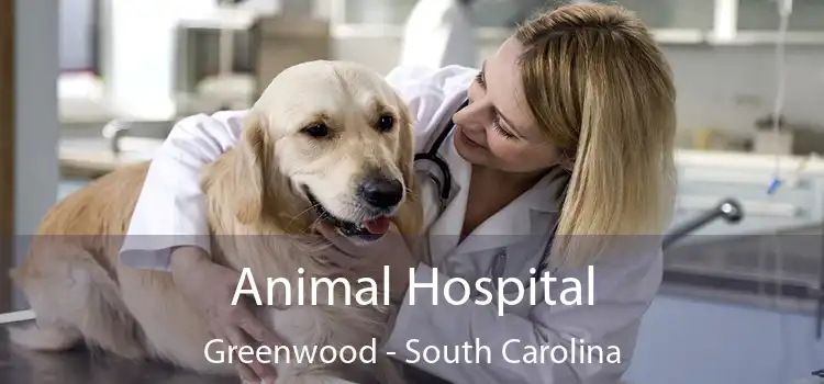 Animal Hospital Greenwood - South Carolina