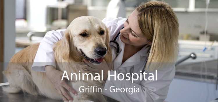 Animal Hospital Griffin - Georgia