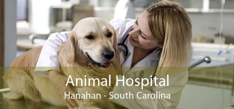 Animal Hospital Hanahan - South Carolina
