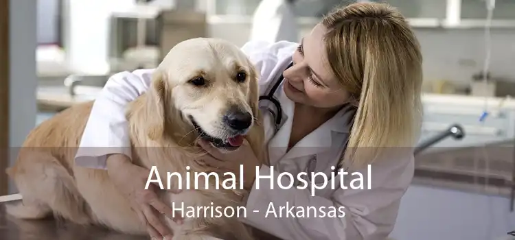 Animal Hospital Harrison - Arkansas