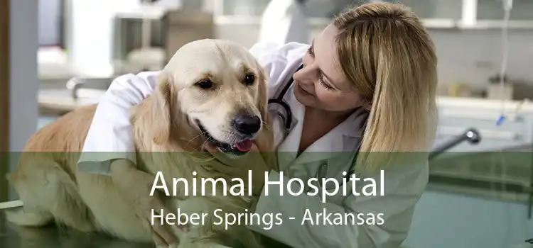 Animal Hospital Heber Springs - Arkansas