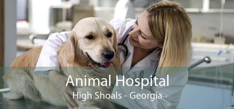 Animal Hospital High Shoals - Georgia