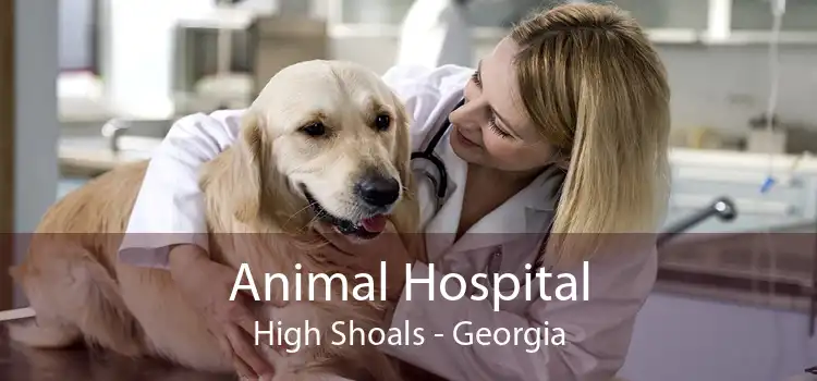 Animal Hospital High Shoals - Georgia