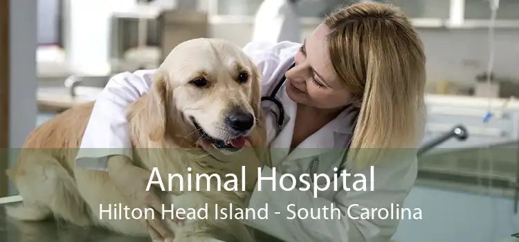 Animal Hospital Hilton Head Island - South Carolina