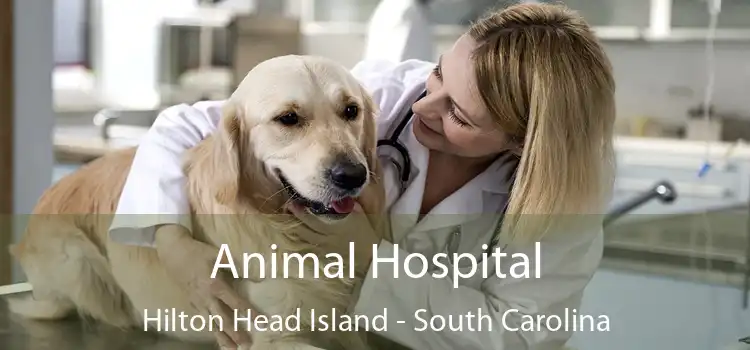 Animal Hospital Hilton Head Island - South Carolina