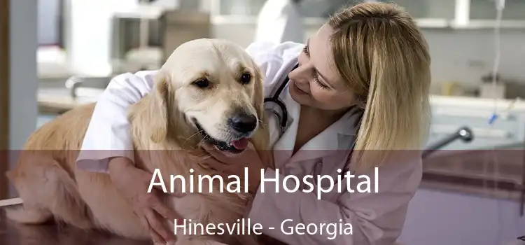 Animal Hospital Hinesville - Georgia