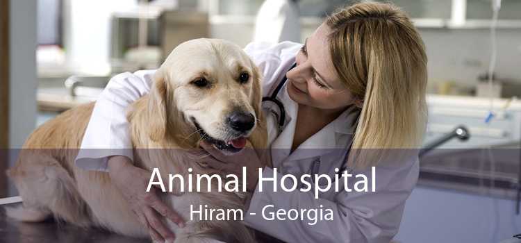 Animal Hospital Hiram - Georgia
