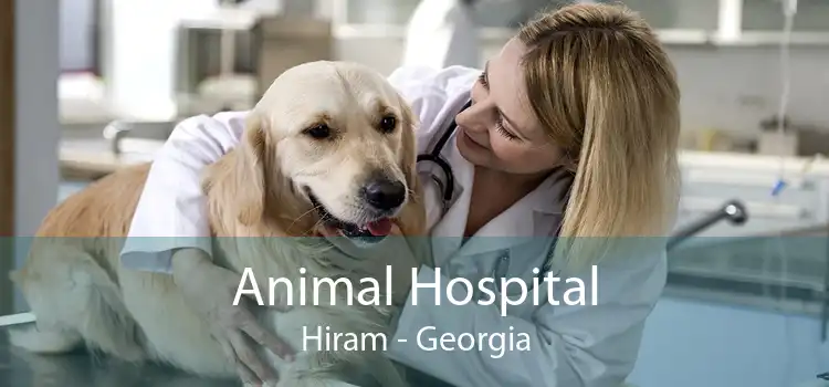 Animal Hospital Hiram - Georgia
