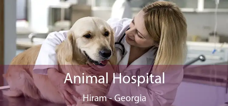 Animal Hospital Hiram - Georgia