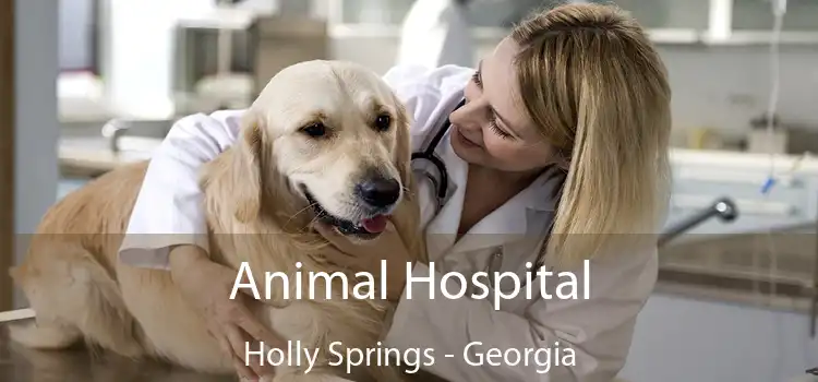 Animal Hospital Holly Springs - Georgia