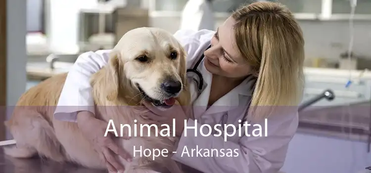 Animal Hospital Hope - Arkansas