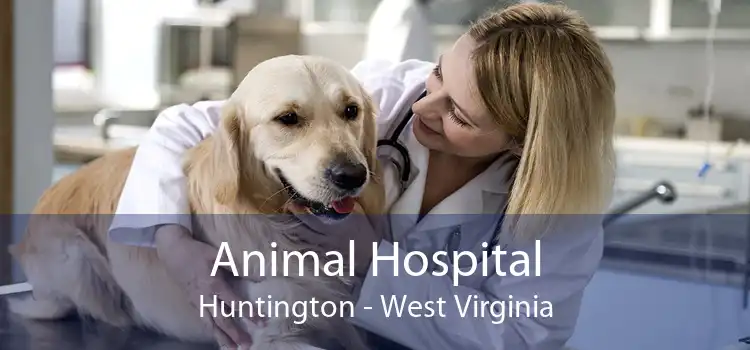 Animal Hospital Huntington - West Virginia