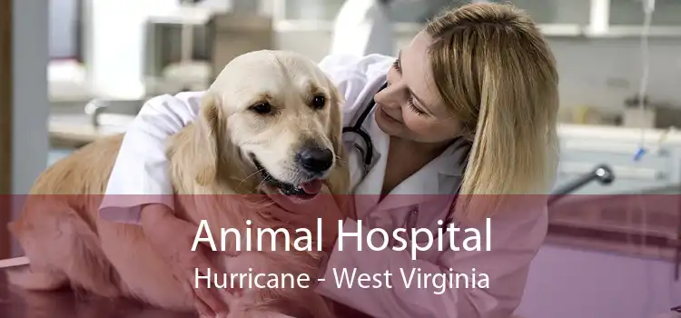 Animal Hospital Hurricane - West Virginia