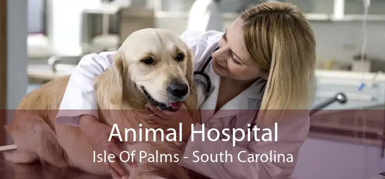 Animal Hospital Isle Of Palms - South Carolina