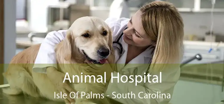 Animal Hospital Isle Of Palms - South Carolina