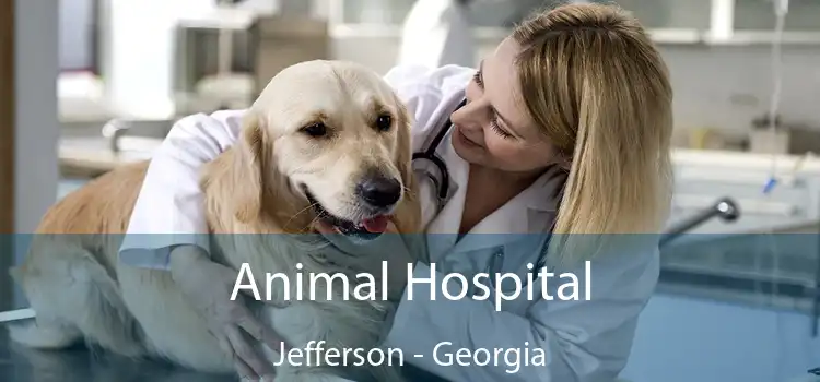 Animal Hospital Jefferson - Georgia