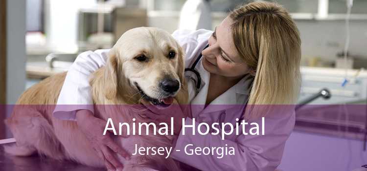 Animal Hospital Jersey - Georgia